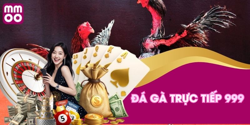 Đá gà trực tiếp 999